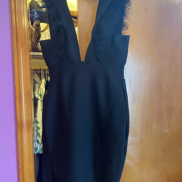 Fashion nova feather dress - Picture 5 of 7